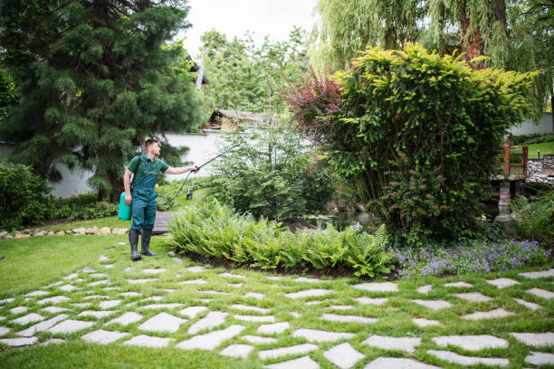 Best Ant Control Services  in Charleston, SC