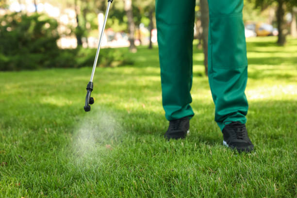 Best Pest Prevention Services  in Charleston, SC