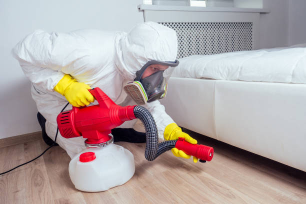 Trusted Charleston, SC Pest Control Experts