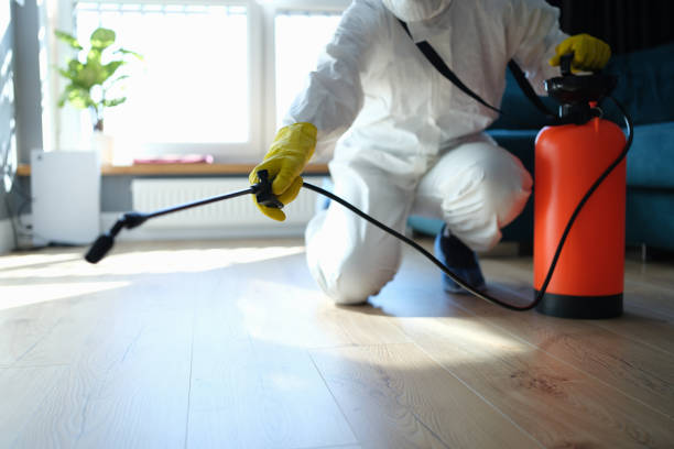 Best Pest Control for Homes  in Charleston, SC