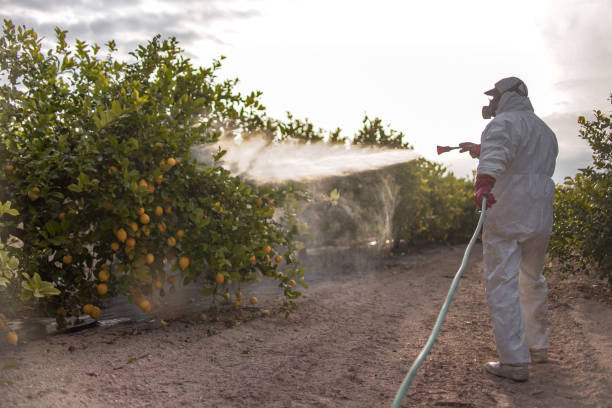 Best Best Pest Control Companies  in Charleston, SC