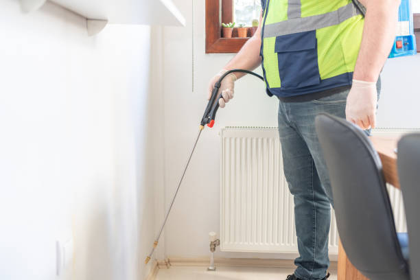 Best Wasp Removal Services  in Charleston, SC