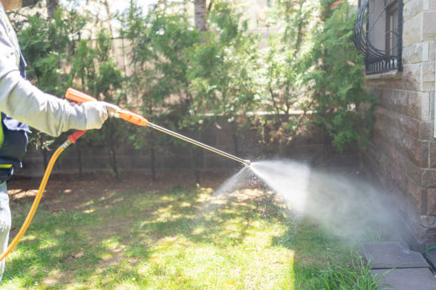 Best Best Pest Control Companies  in Charleston, SC