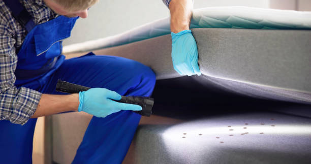 Best Pest Removal Services  in Charleston, SC