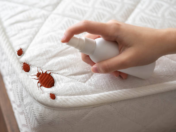 Best Mosquito Control Services  in Charleston, SC
