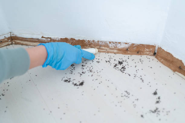 Best Emergency Pest Control  in Charleston, SC