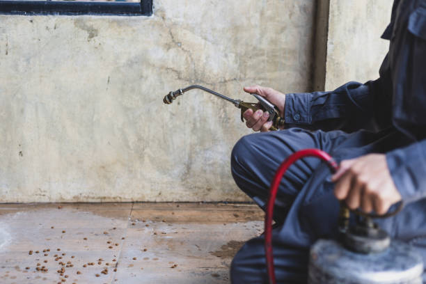 Best Exterminator Services  in Charleston, SC